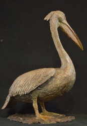 Pelican - with base