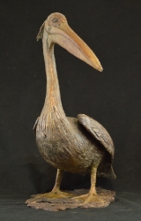 Pelican - with base