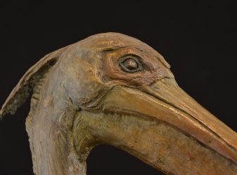 Pelican - with base