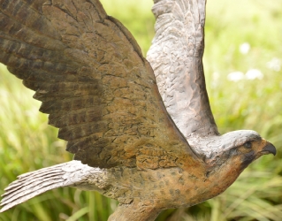 Peregrine Falcon - Life-sized