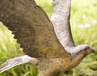 Peregrine Falcon - Life-sized