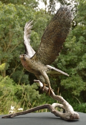 Peregrine Falcon - Life-sized