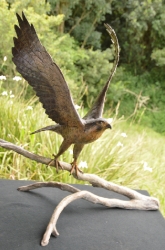 Peregrine Falcon - Life-sized