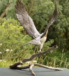 Peregrine Falcon - Life-sized