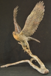 Peregrine Falcon - Life-sized