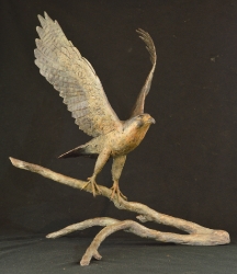 Peregrine Falcon - Life-sized