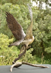 Peregrine Falcon - Life-sized