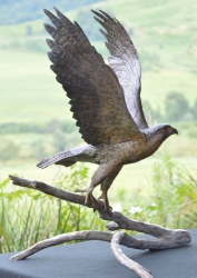 Peregrine Falcon - Life-sized