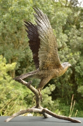 Peregrine Falcon - Life-sized