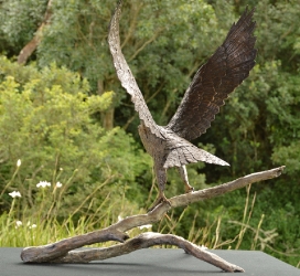 Peregrine Falcon - Life-sized