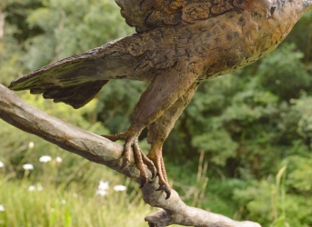 Peregrine Falcon - Life-sized