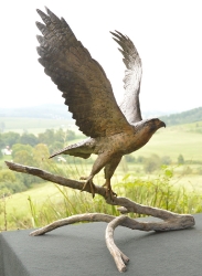 Peregrine Falcon - Life-sized
