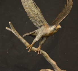 Peregrine Falcon - Maquette