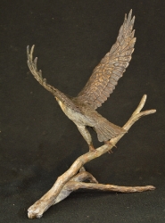 Peregrine Falcon - Maquette