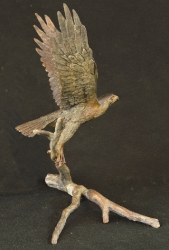 Peregrine Falcon - Maquette