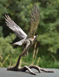 Peregrine Falcon - Maquette