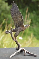 Peregrine Falcon - Maquette