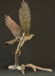 Peregrine Falcon - Maquette