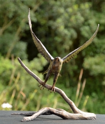 Peregrine Falcon - Maquette