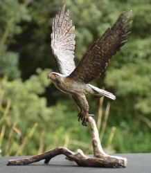 Peregrine Falcon - Maquette