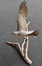 Peregrine Falcon - Maquette