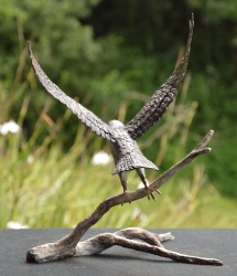 Peregrine Falcon - Maquette