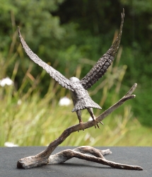 Peregrine Falcon - Maquette