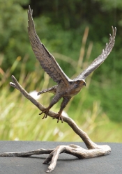 Peregrine Falcon - Maquette