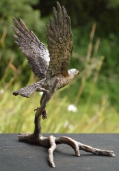 Peregrine Falcon - Maquette