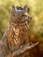 African Scops Owl