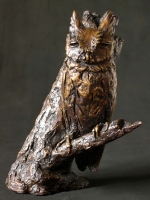 African Scops Owl