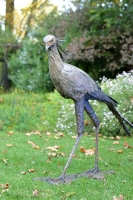 Secretary Bird