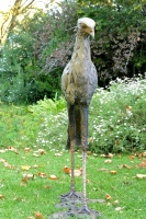 Secretary Bird