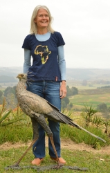 Secretary Bird 2 - Life Size