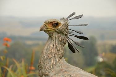 Secretary Bird 2 - Life Size