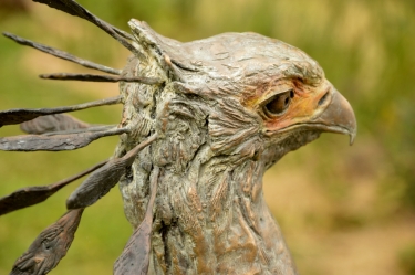 Secretary Bird 2 - Life Size
