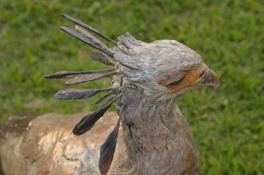 Secretary Bird 2 - Life Size