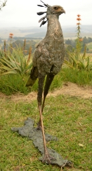 Secretary Bird 2 - Life Size