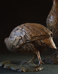 Swainson Spurfowl (Franklin)