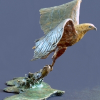 The Catch - Fish Eagle
