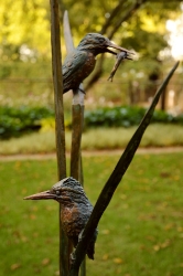 The King Fishers SOLD OUT
