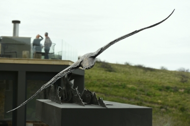 Wondering Albatross - Life-size