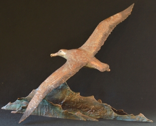 Wandering Albatross - maquette