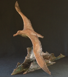 Wondering Albatross - maquette