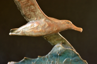 Wondering Albatross - maquette