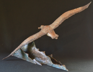 Wondering Albatross - maquette