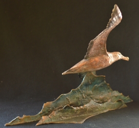 Wondering Albatross - maquette