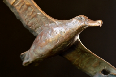 Wondering Albatross - maquette
