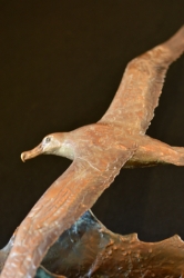 Wondering Albatross - maquette