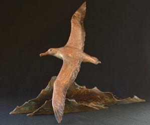 Wondering Albatross - maquette